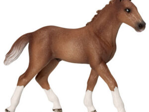 RestpostenHannoveraner Fohlen