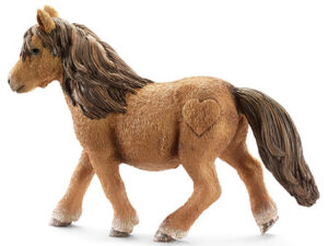 Shetland Pony Stute