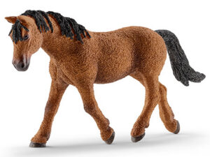 RestpostenBashkir Curly Stute